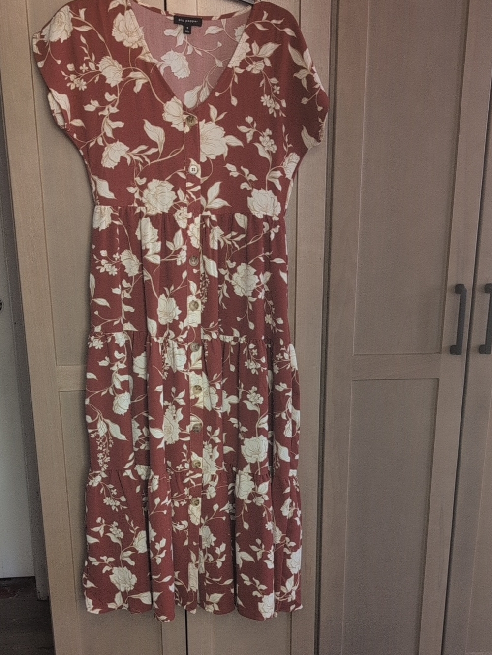 Blu Pepper Rust Floral Maxi Dress with Cream Print